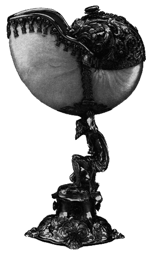 Путешествие по всему миру на «Буссоли» и «Астролябии» - i_167.png