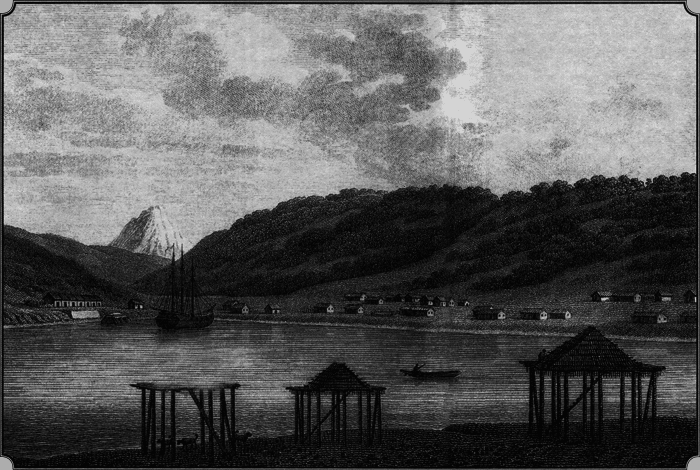 Путешествие по всему миру на «Буссоли» и «Астролябии» - i_215.png