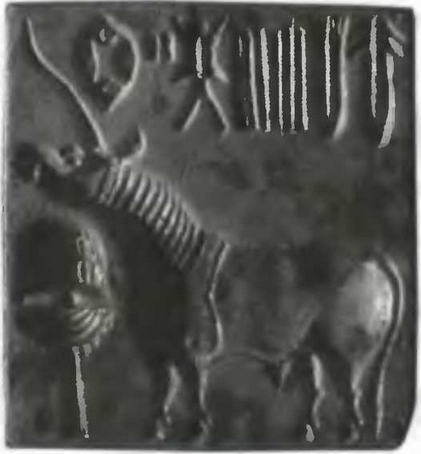 Знание-сила, 2004 № 06 924) - img_64.jpg