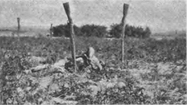 «Пушечное мясо» Первой мировой. Пехота в бою - i_126.jpg