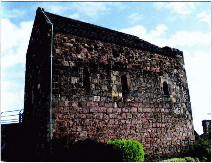 Рожденная в битвах. Шотландия до конца XIV века - i_031.jpg