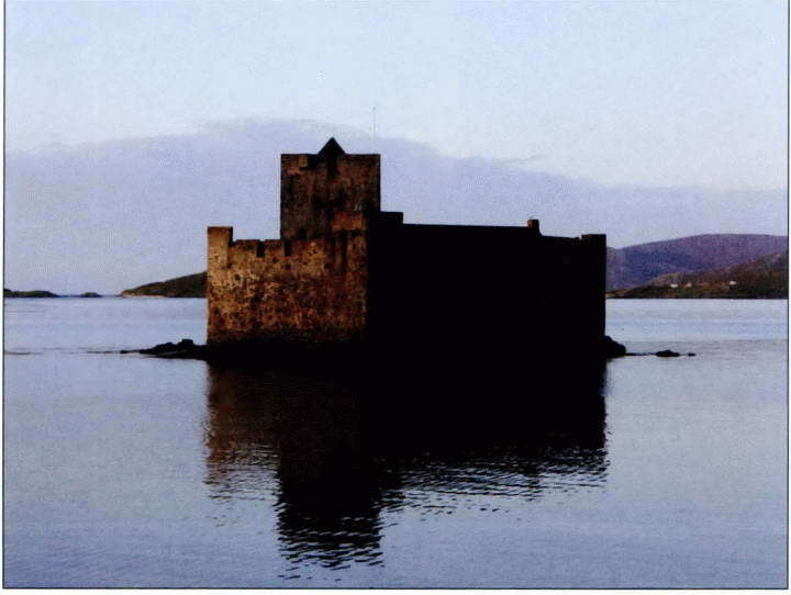 Рожденная в битвах. Шотландия до конца XIV века - i_057.jpg