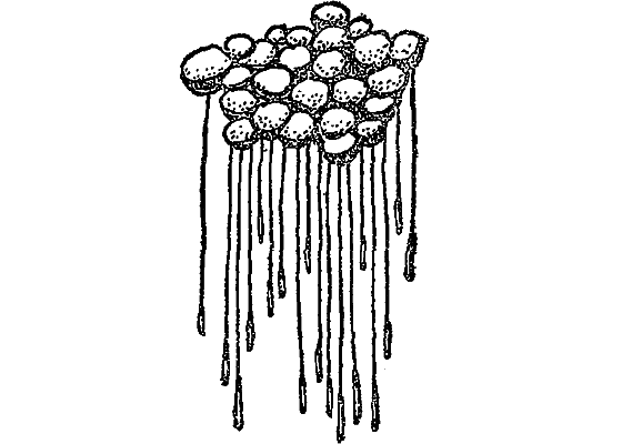 Жизнь пруда - i_026.png