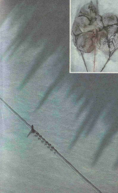 Удивительная планета Земля. География: тайны и открытия - i_006.jpg