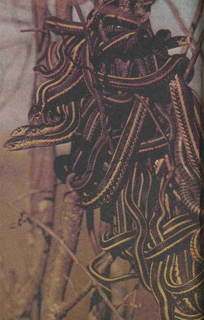 Удивительная планета Земля. География: тайны и открытия - i_007.jpg