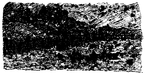 Вечера на хуторе близ Диканьки (Художник. Л. Датько) - pic_16.png