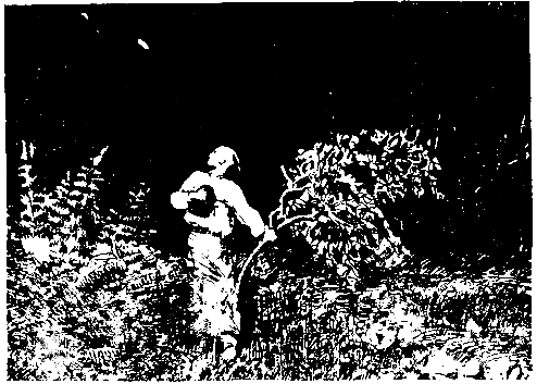 Вечера на хуторе близ Диканьки (Художник. Л. Датько) - pic_6.png