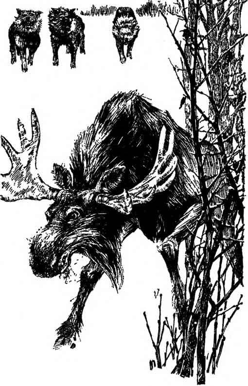 Десять баллов по бофорту (повести и рассказы) - i_016.jpg