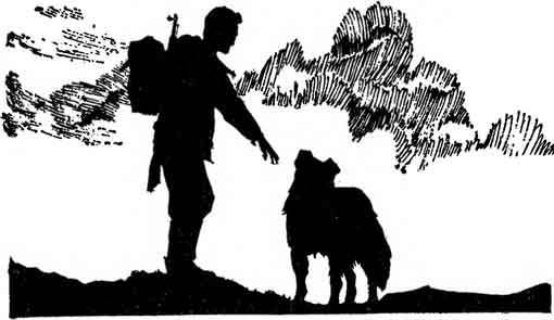 Десять баллов по бофорту (повести и рассказы) - i_017.jpg