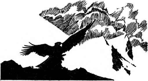 Десять баллов по бофорту (повести и рассказы) - i_018.jpg