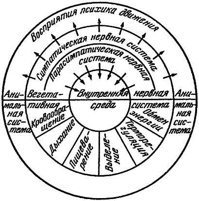 Внутренняя среда организма - i_004.png