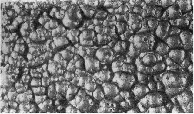 Популярная библиотека химических элементов. Книга вторая. Серебро — нильсборий и далее - i_019.jpg