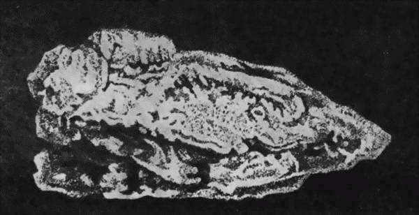 Популярная библиотека химических элементов. Книга вторая. Серебро — нильсборий и далее - i_030.jpg