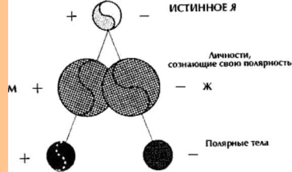 ГНОЗИС.Том 2й. Экзотерический Цикл - _33.jpg