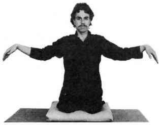 Внутренняя сила: Секретные практики Тибета и Востока - i_044.jpg