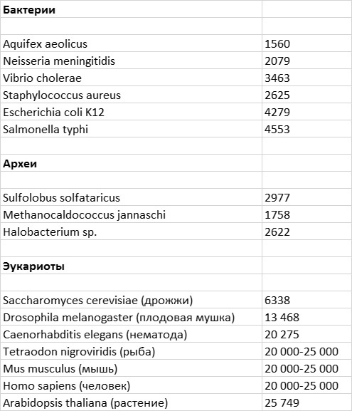 Приспособиться и выжить! - i_022.jpg