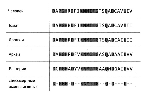 Приспособиться и выжить! - i_023.jpg