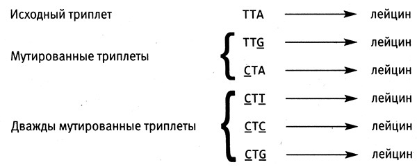 Приспособиться и выжить! - i_024.jpg