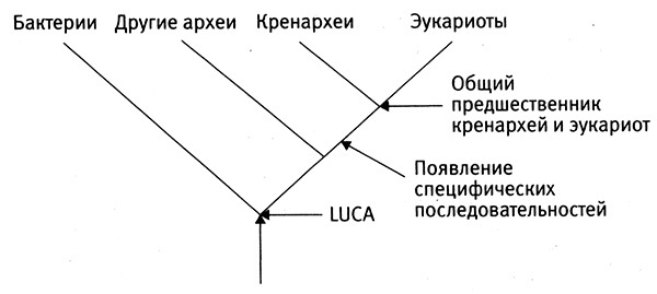 Приспособиться и выжить! - i_026.jpg