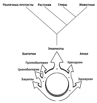 Приспособиться и выжить! - i_027.jpg