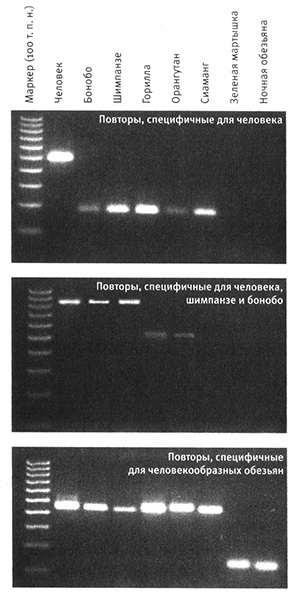 Приспособиться и выжить! - i_031.jpg