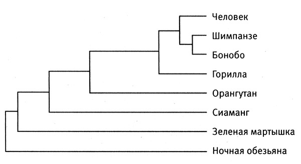 Приспособиться и выжить! - i_032.jpg