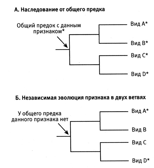 Приспособиться и выжить! - i_045.jpg