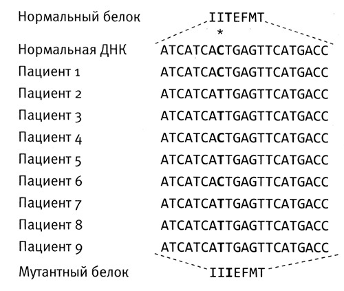 Приспособиться и выжить! - i_061.jpg