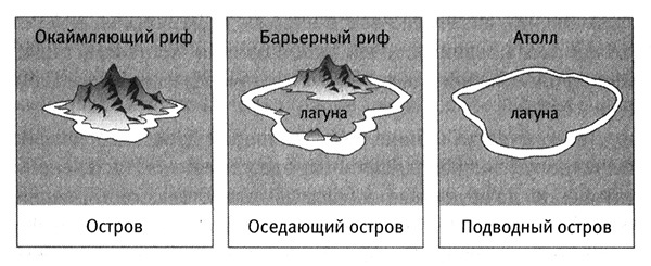 Приспособиться и выжить! - i_063.jpg