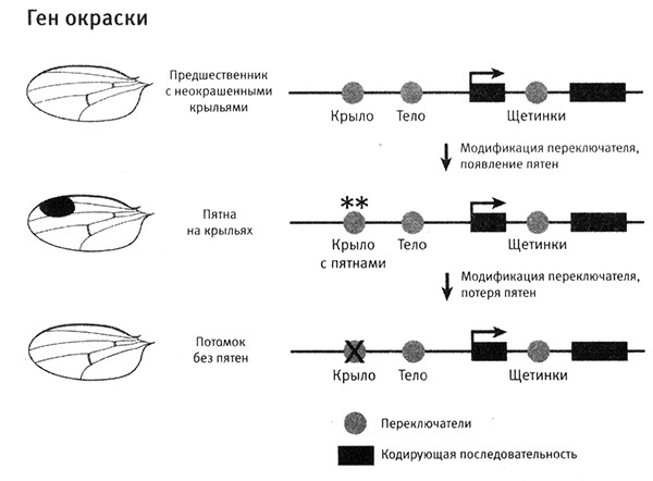 Приспособиться и выжить! - i_070.jpg