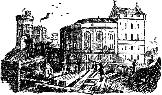 Великий натуралист Чарлз Дарвин - i_035.png