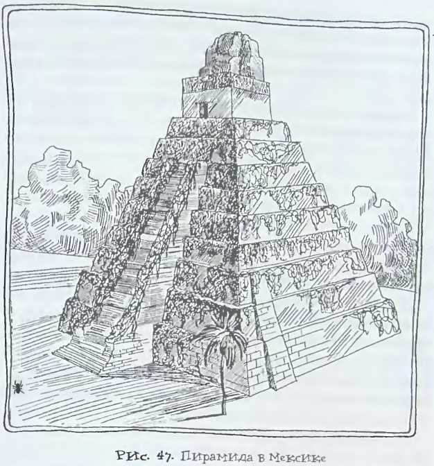 Происхождение человечества - i_051.jpg