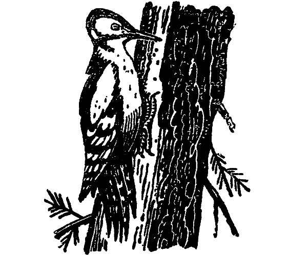 «Кто-то» на дереве - i_030.png