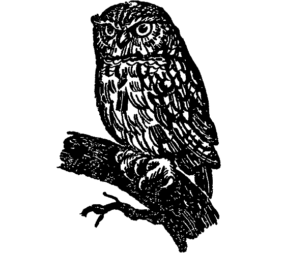 «Кто-то» на дереве - i_031.png