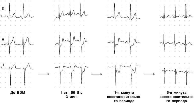 Внутренние болезни - b00000356.jpg