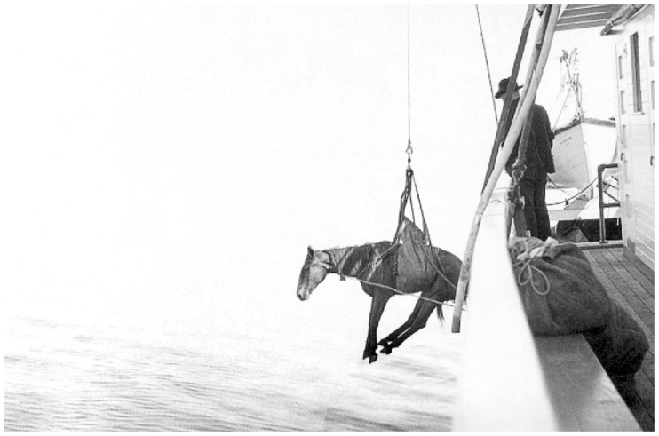 Фредерик Кук на вершине континента. Возвращаем Мак-Кинли великому американцу - i_012.jpg