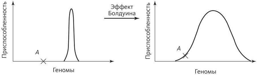 Верховный алгоритм: как машинное обучение изменит наш мир - i_015.jpg