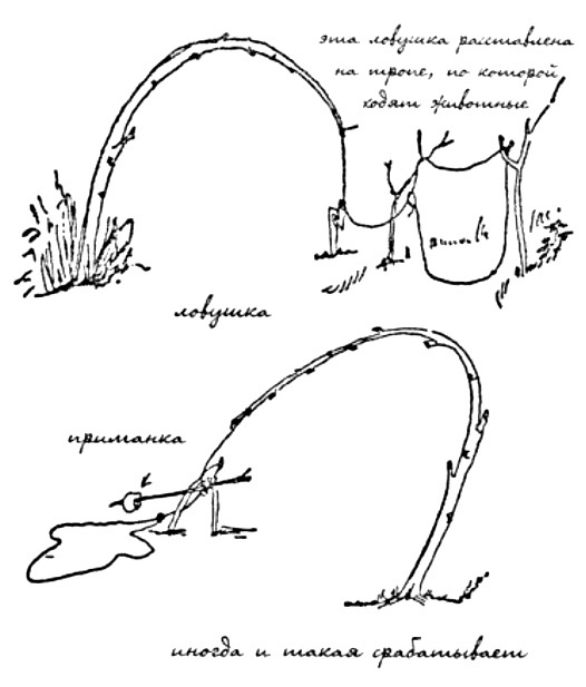 Моя сторона горы - i_008.jpg