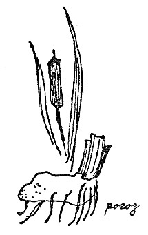 Моя сторона горы - i_019.jpg