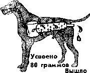 Старая собака (СИ) - img_1.png