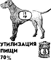 Старая собака (СИ) - img_3.png