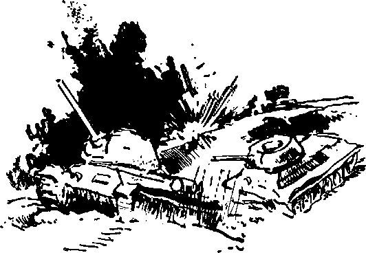 Укрощение «тигров» - i_009.jpg