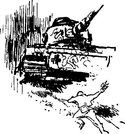 Укрощение «тигров» - i_014.jpg