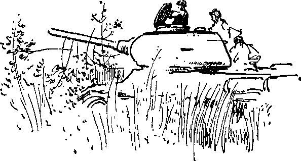 Укрощение «тигров» - i_020.jpg