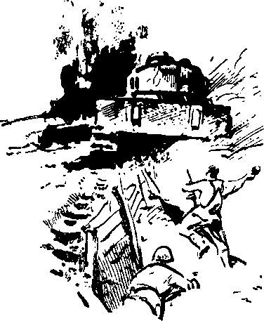 Укрощение «тигров» - i_025.jpg