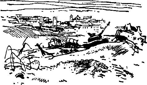 Укрощение «тигров» - i_033.jpg