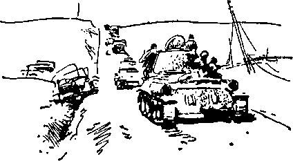 Укрощение «тигров» - i_038.jpg