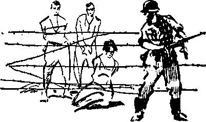 Укрощение «тигров» - i_043.jpg