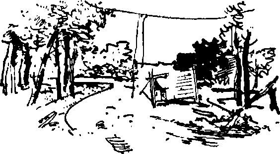 Укрощение «тигров» - i_049.jpg