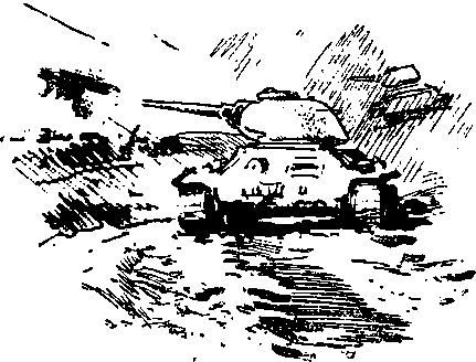 Укрощение «тигров» - i_055.jpg